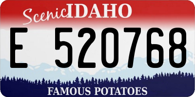 ID license plate E520768