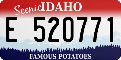 ID license plate E520771