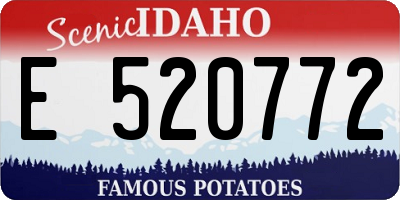 ID license plate E520772