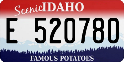 ID license plate E520780