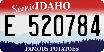 ID license plate E520784