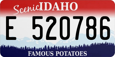 ID license plate E520786