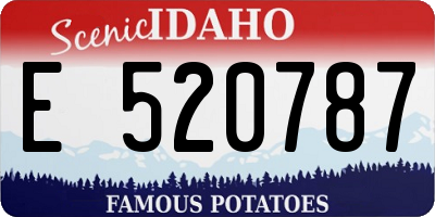 ID license plate E520787