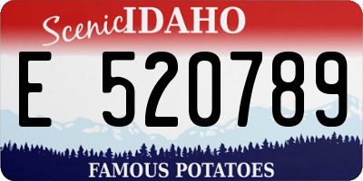 ID license plate E520789