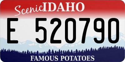 ID license plate E520790