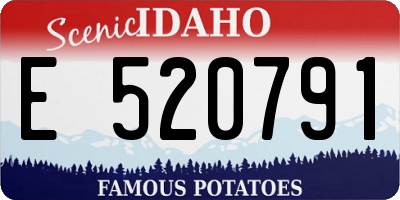 ID license plate E520791