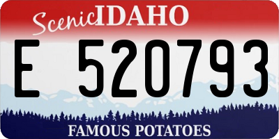 ID license plate E520793