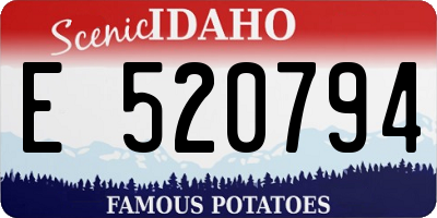 ID license plate E520794