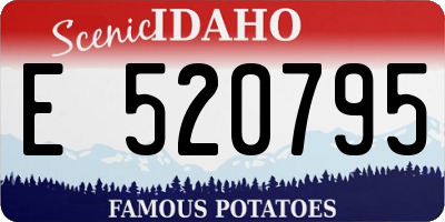 ID license plate E520795