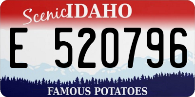 ID license plate E520796