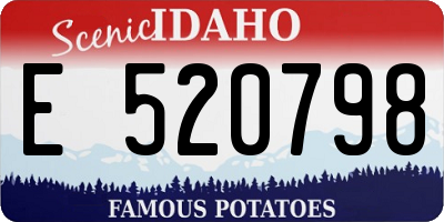 ID license plate E520798