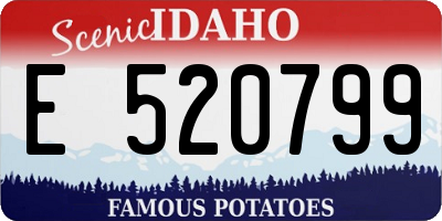 ID license plate E520799