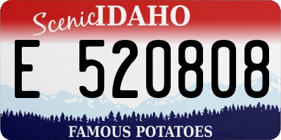 ID license plate E520808