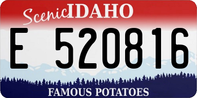 ID license plate E520816