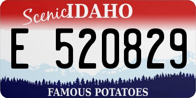 ID license plate E520829