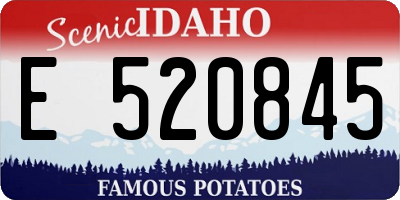 ID license plate E520845