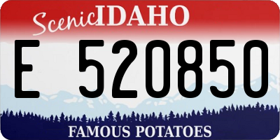 ID license plate E520850