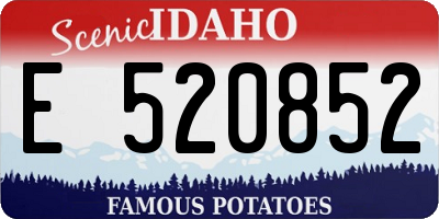 ID license plate E520852
