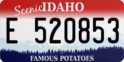 ID license plate E520853