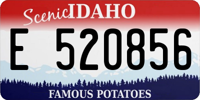 ID license plate E520856