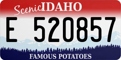 ID license plate E520857