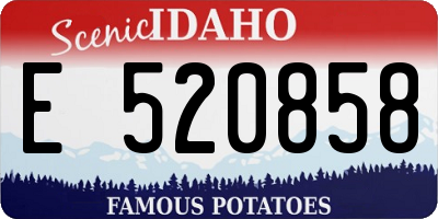 ID license plate E520858