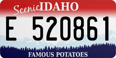 ID license plate E520861