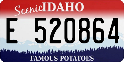 ID license plate E520864
