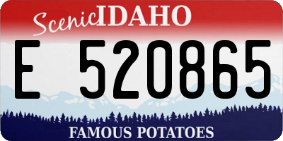 ID license plate E520865
