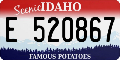 ID license plate E520867