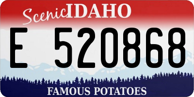 ID license plate E520868