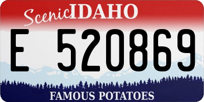 ID license plate E520869