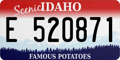 ID license plate E520871