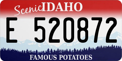 ID license plate E520872