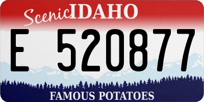 ID license plate E520877