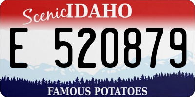 ID license plate E520879