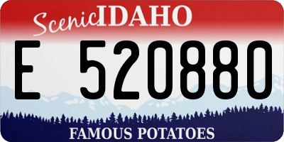 ID license plate E520880