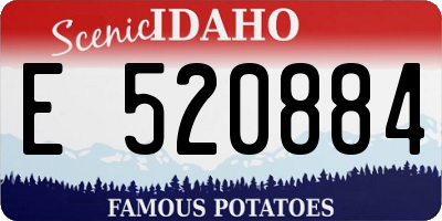 ID license plate E520884