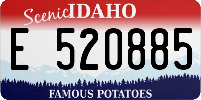 ID license plate E520885