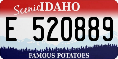 ID license plate E520889