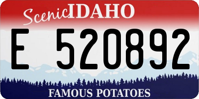 ID license plate E520892