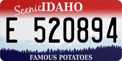 ID license plate E520894