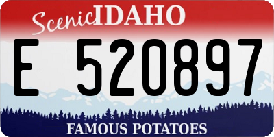 ID license plate E520897