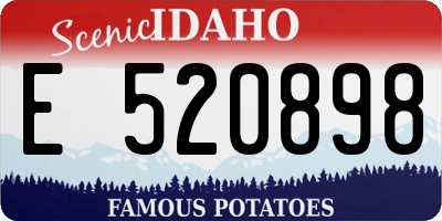 ID license plate E520898