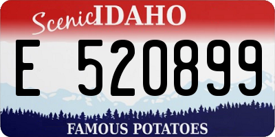 ID license plate E520899