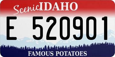 ID license plate E520901