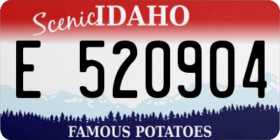 ID license plate E520904