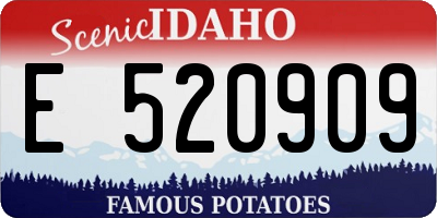 ID license plate E520909