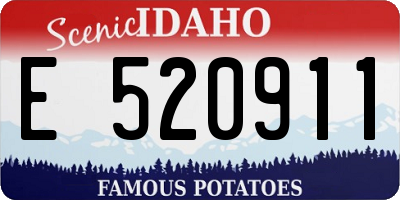 ID license plate E520911