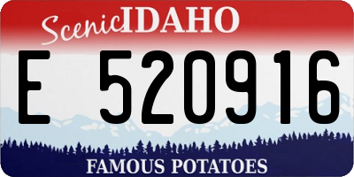 ID license plate E520916
